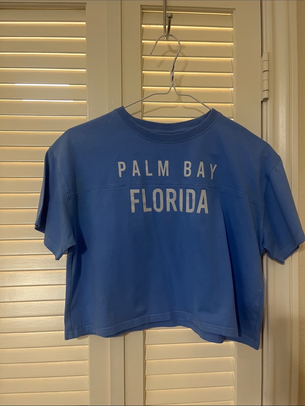 Zara Light Blue Graphic Crop Tee